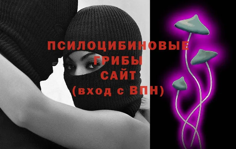 Псилоцибиновые грибы ЛСД Верещагино